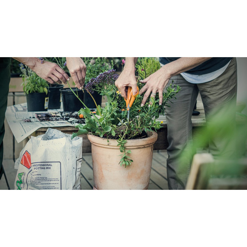 Ножиці кухонні Fiskars Classic 18 см (1000819)