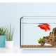 Акваріум Xiaomi Yuanhao Ultra white glass 384x225x242mm (Ф24293)