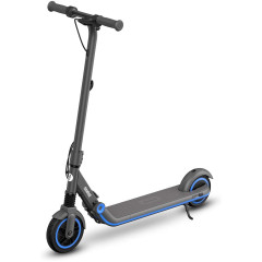 Електросамокат Ninebot by Segway E10