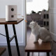 Машина для годування тварин Xiaomi Pawbby MG-PSM001